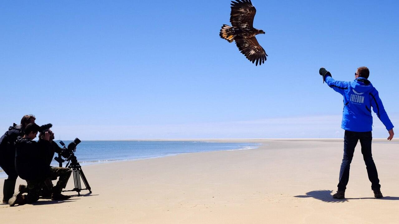 Victor the eagle is famous. image credit: Twitter