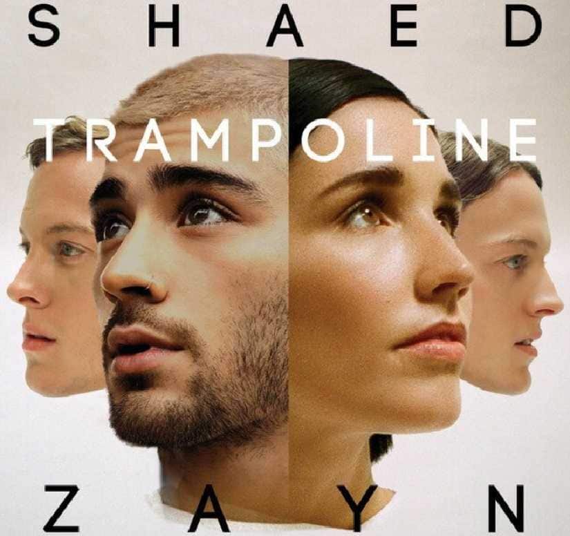 Zayn Malik alongside Shaed for the cover art of ‘Trampoline’. Twitter