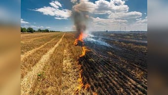 What came first - Pollution or stubble burning?