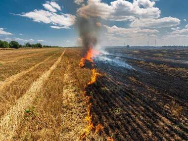What came first - Pollution or stubble burning? What came first - Pollution or stubble burning?