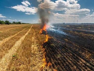 What came first - Pollution or stubble burning?