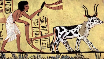 Were other humans the first victims of the sixth mass extinction?