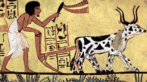Were other humans the first victims of the sixth mass extinction?