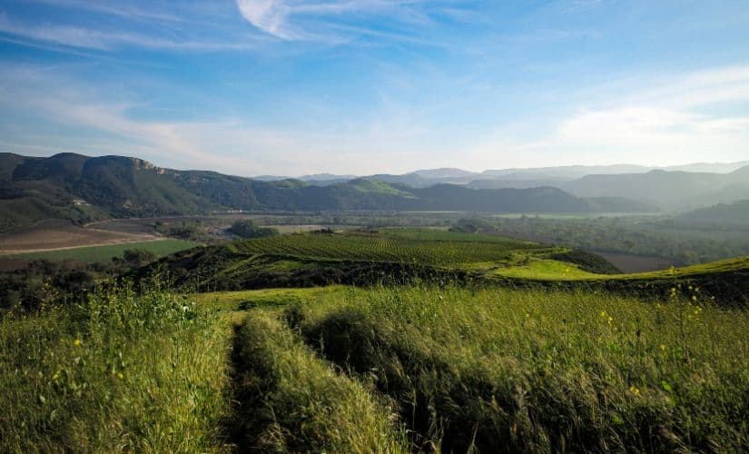 The “Blooms Field” parcel of the Domaine de la Côte estate.