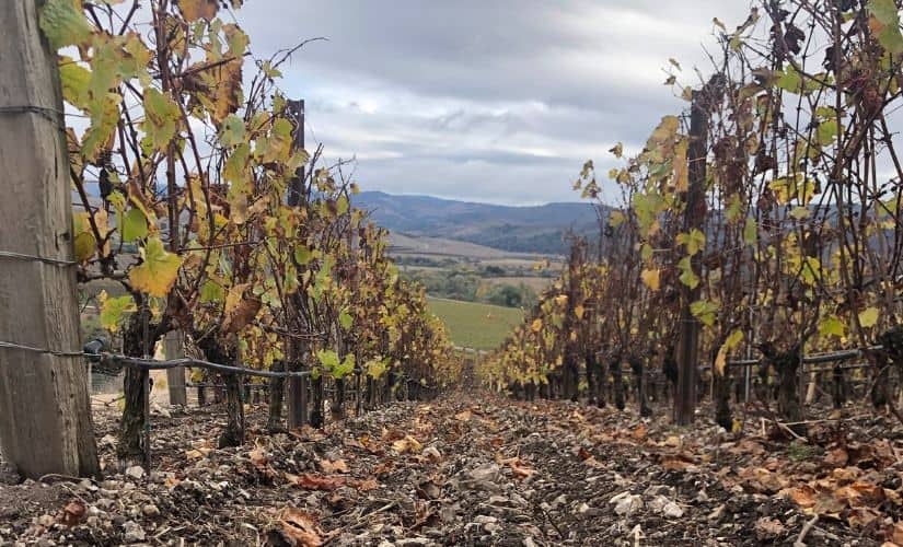 The “La Côte” parcel of the Domaine de la Côte estate.