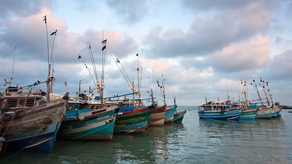 The ocean could be providing six times more food with a few reforms, scientists believe