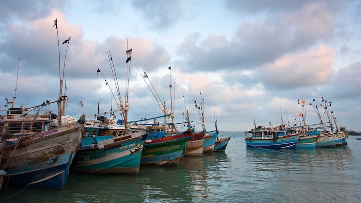 The ocean could be providing six times more food with a few reforms, scientists believe