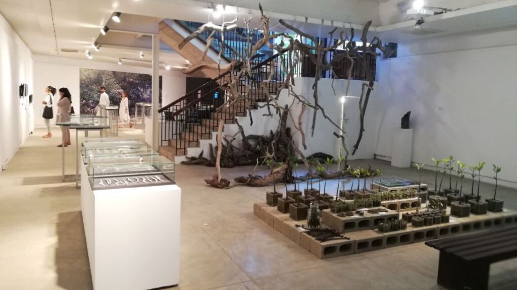 “The Mangrove Project”, an immersive group show by Noorjehan Bilgrami, Tariq Qaiser, Marvi Mazhar, Sadia Salim, Zarmeene Shah, and Sohail Zuberi. Photo credit: Umme Hani Imani.
