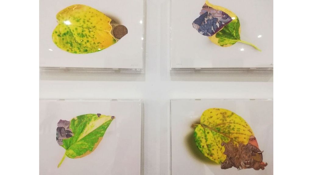 Abdullah Syed’s layering of currency on ‘money’ plant leaves. Photo credit: Umme Hani Imani.