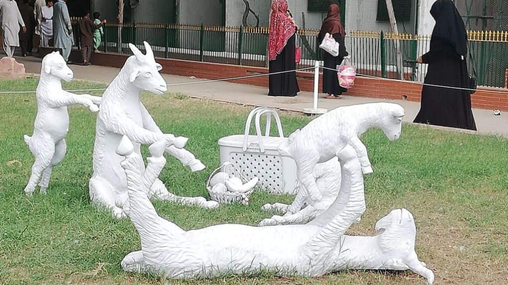 Irfan Gul Dahri’s family of goat picnickers in the zoo. Photo credit: Umme Hani Imani.