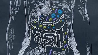 Landmark study uncovers link between gut microbes, good health and chronic illnesses