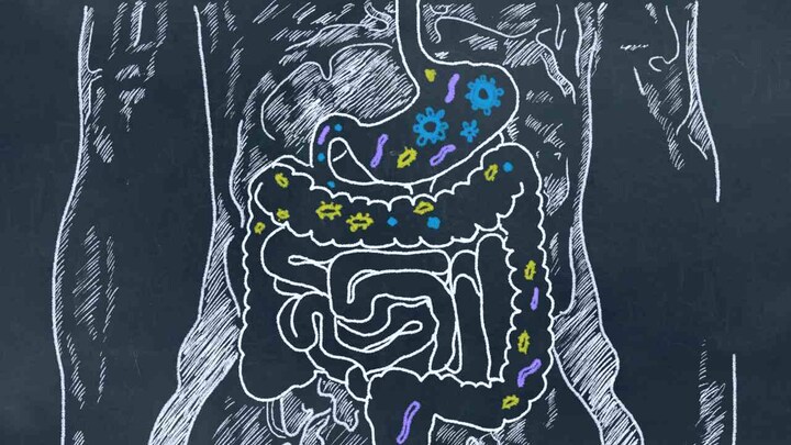 Landmark study uncovers link between gut microbes, good health and chronic illnesses