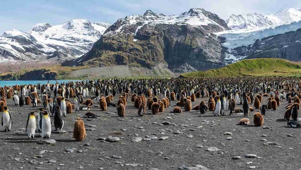 Icy Antarctica hits new heat records with 18.3 C temperature on Wednesday