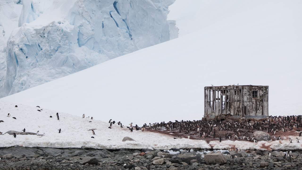An abandoned Antarctic base taken over by penguins. Image: Yuriy Rzhemovskiy/Unsplash