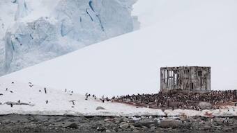 Talks about an Antarctic marine sanctuary in a deadlock for eighth consecutive year