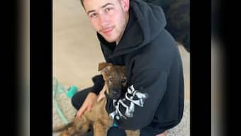 Priyanka Chopra gifts Nick Jonas a pup ahead of first anniversary, calls Gino 'newest addition to family'