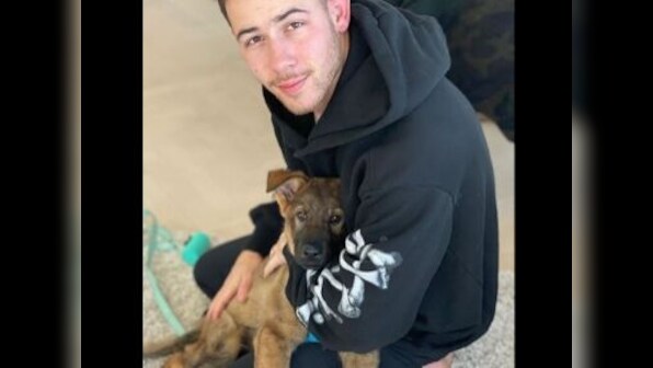 Priyanka Chopra gifts Nick Jonas a pup ahead of first anniversary, calls Gino 'newest addition to family'