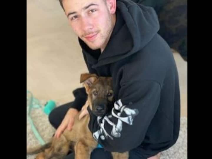 Priyanka Chopra gifts Nick Jonas a pup ahead of first anniversary, calls Gino 'newest addition to family'