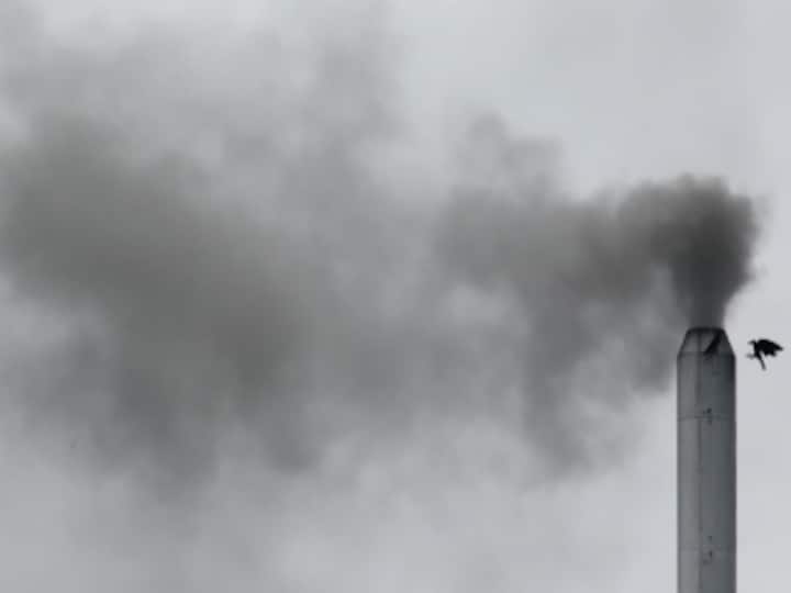 Scientists create bacteria that eat carbon dioxide, clean up the environment