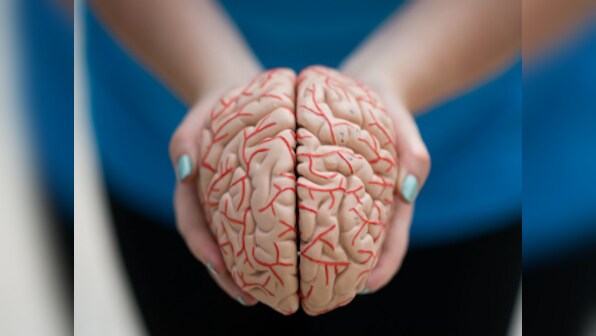 The cure to Parkinson's may be linked to your gut