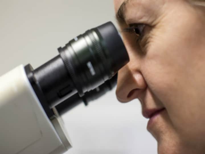 Australian scientists say they may have found a cure for cancer