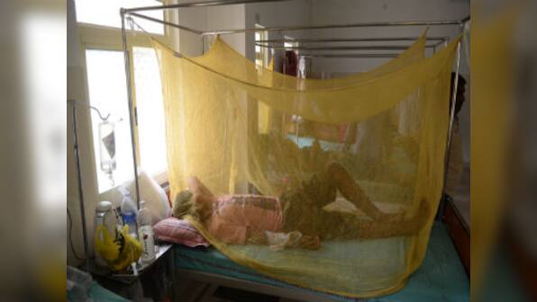 Sexually-transmitted dengue case confirmed in Spain