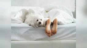 5 simple morning habits that can help you lose weight