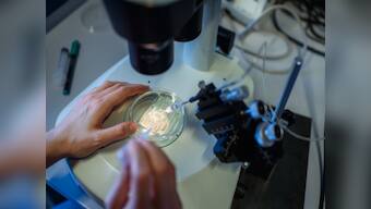 Another step closer to curing cancer and genetic diseases: All you need to know about CRISPR-Cas9