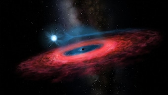 Astronomers spot stellar black hole so massive, it 'shouldn't exist'