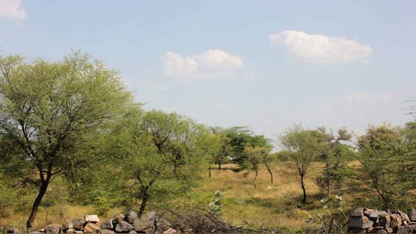 Rajasthan villages fight to protect their common lands from mining activities