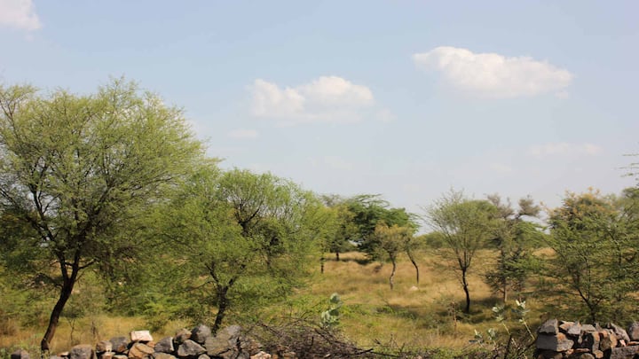Rajasthan villages fight to protect their common lands from mining activities