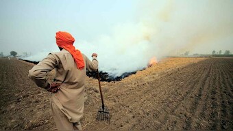 Punjab farmers say that they have no alternative to stubble burning as air pollution chokes Delhi