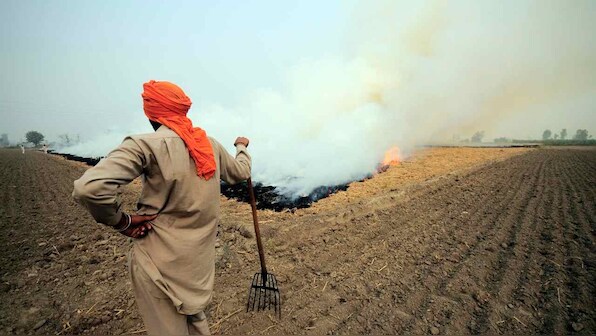 Punjab farmers say that they have no alternative to stubble burning as air pollution chokes Delhi