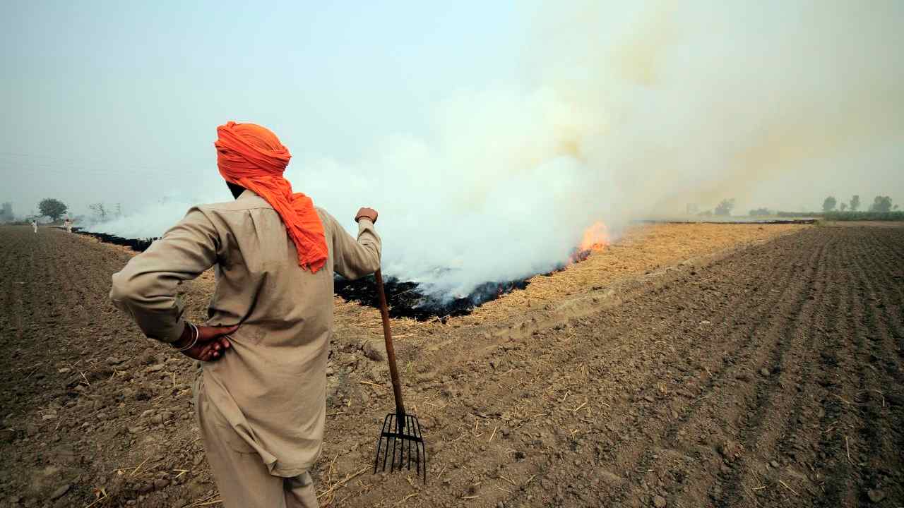 Punjab farmers say that they have no alternative to stubble burning as air pollution chokes Delhi Punjab farmers say that they have no alternative to stubble burning as air pollution chokes Delhi