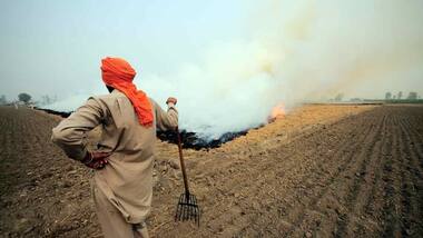 Punjab farmers say that they have no alternative to stubble burning as air pollution chokes Delhi