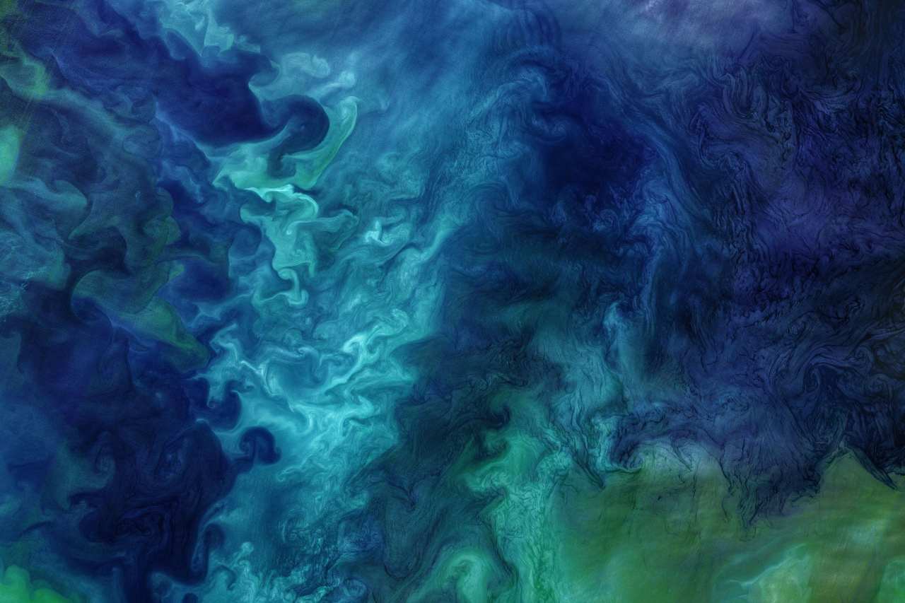 Phytoplankton bloom in the Chukchi Sea in 2018. Image courtesy: Norman Kuring/NASA's Ocean Color Web/Landsat data/US Geological Survey