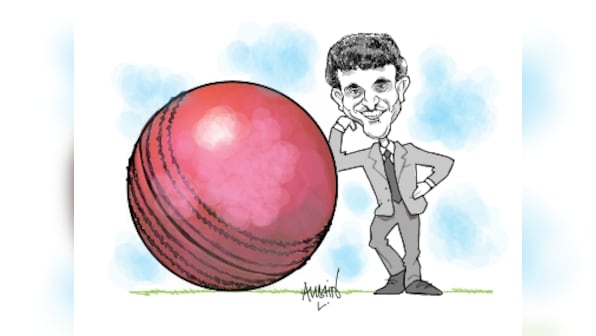 India's first pink ball Test match, seemingly an experiment, holds many lessons for BCCI
