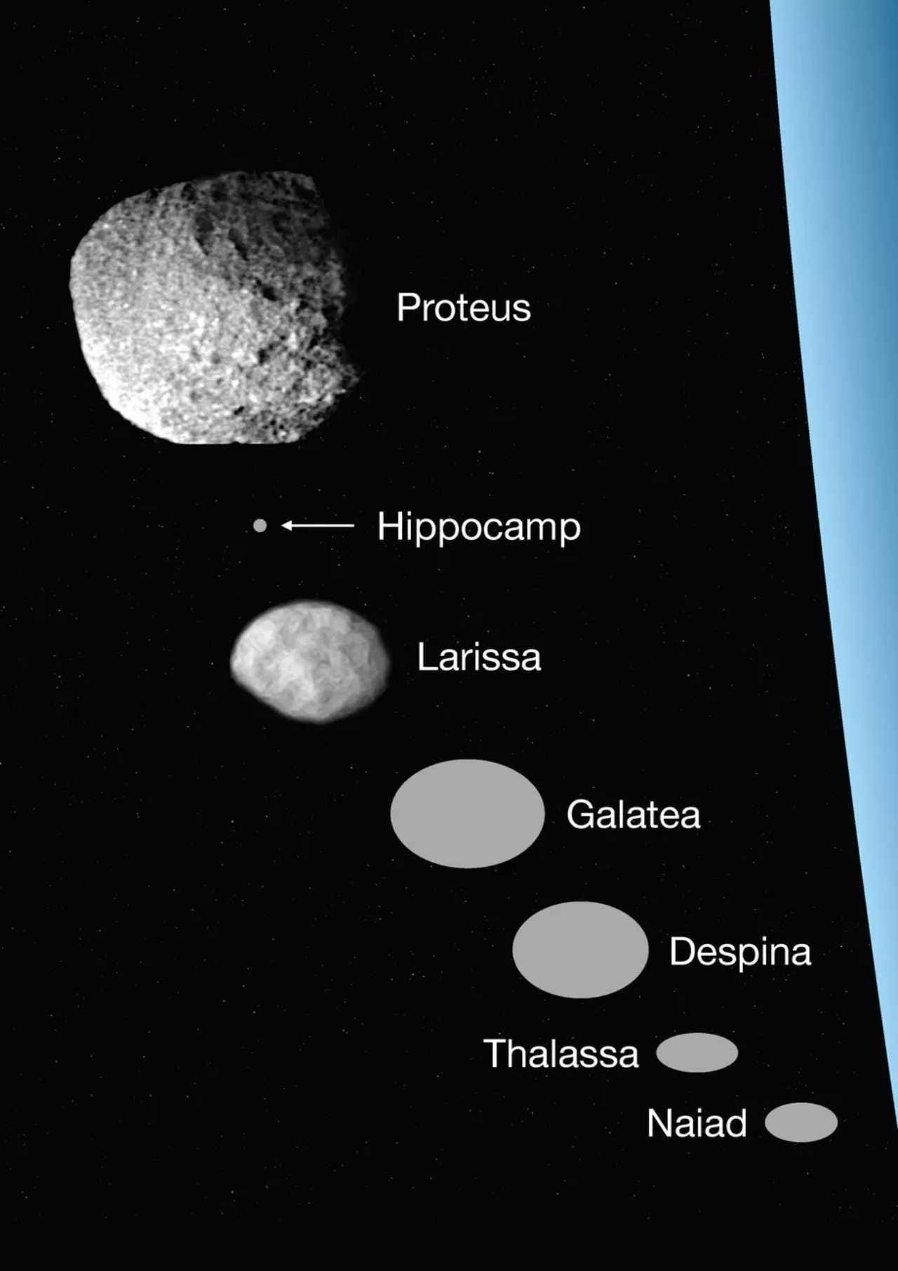 Relative sizes of a few of Neptune’s moons, including Hippocamp. Image credit: Mark Showalter/SETI Institute
