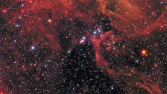 Missing remains of 1987 supernova tracked down as dust clouds continue to shroud its neutron star