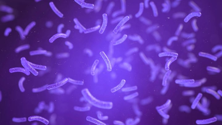 Scientists discover defined 'compartments' in bacteria with specific roles to play in their survival