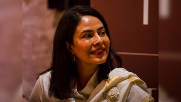 Economics of India's arts sector may take longer to improve than envisioned: CII taskforce's Tarana Sawhney