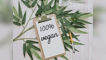 Veganism backed by strong political will only way to combat consumer capitalism; mass lobbying must to fight carnism