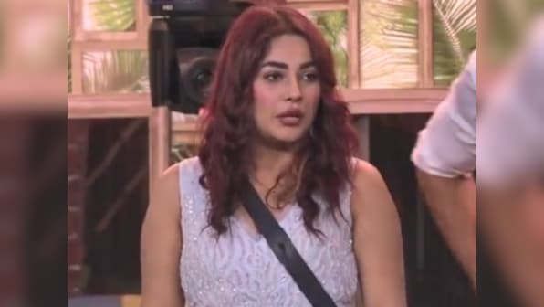 Bigg Boss 13 Day 33 highlights: Himanshi Khurana's wild card entry reignites rivalry with Shehnaaz Gill