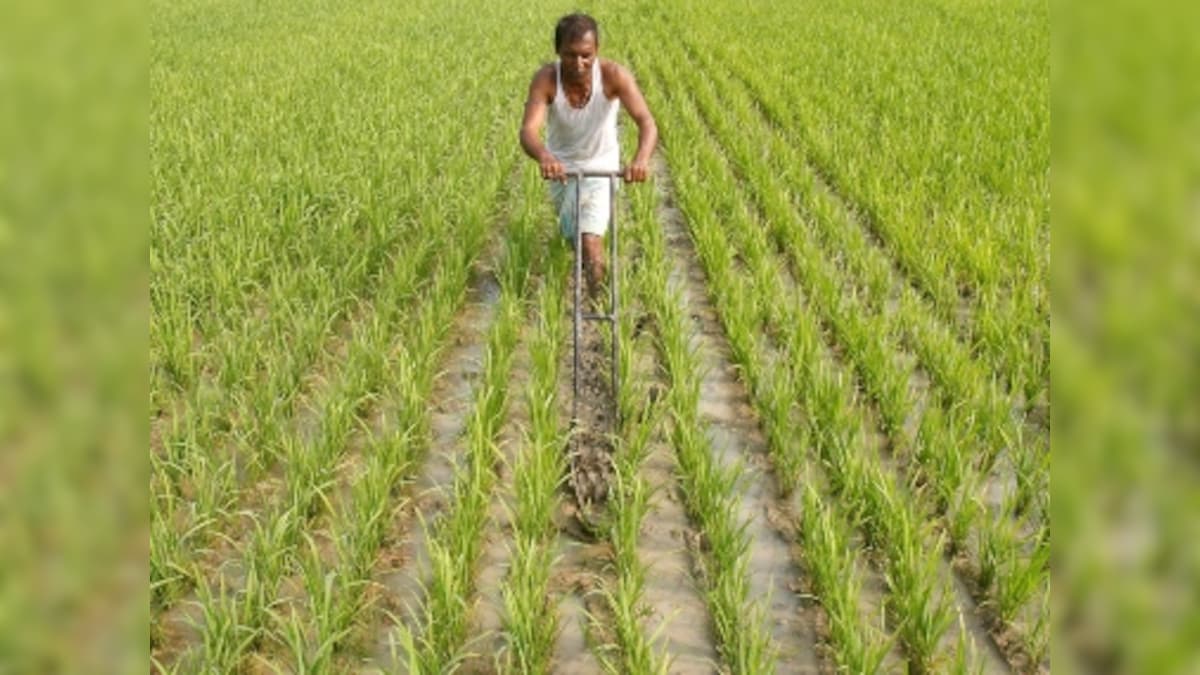 Budget 2020: Govt must give priority to agriculture, empower farm sector to revive economy; don't hand out doles and sops