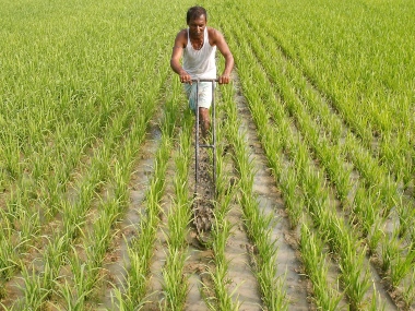 Budget 2020: Govt must give priority to agriculture, empower farm sector to revive economy; don't hand out doles and sops Budget 2020: Govt must give priority to agriculture, empower farm sector to revive economy; don't hand out doles and sops