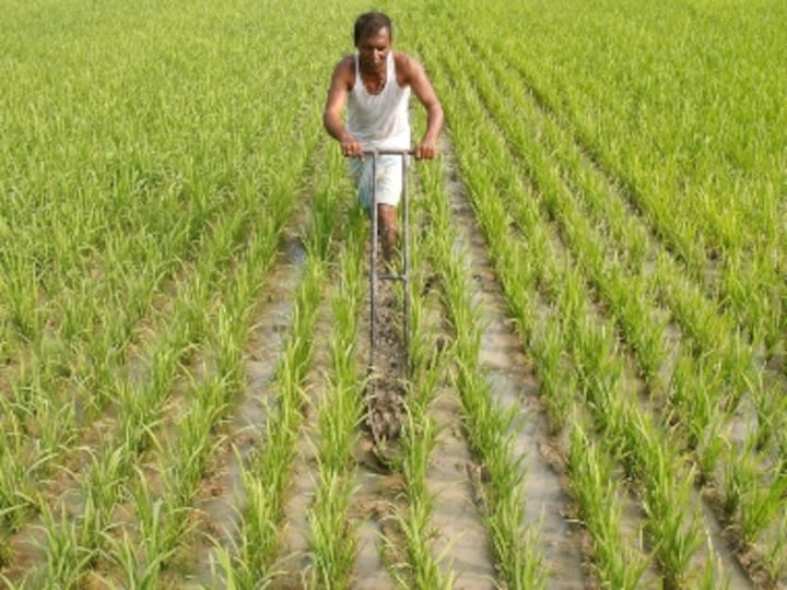 Union Budget 2020-21: Farm experts pitch for scrapping GST on agri-inputs in wish list