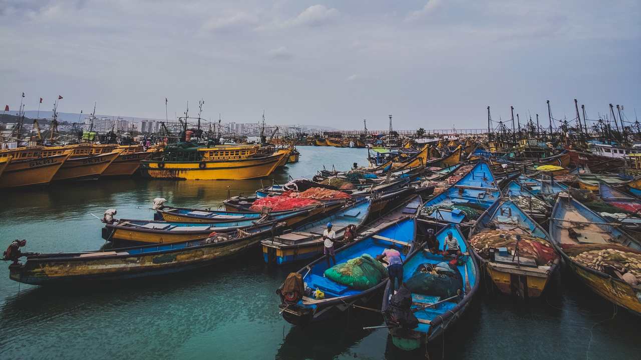 India kicks off $43 mn project, in three states to boost climate resilience, funded by Green Climate Fund India kicks off $43 mn project, in three states to boost climate resilience, funded by Green Climate Fund