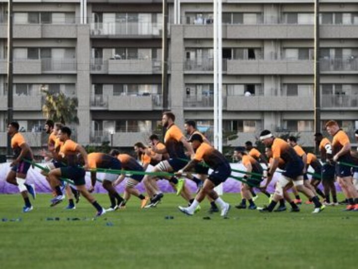 Rugby World Cup Final 2019: England, South Africa aim to lift home gloom with title