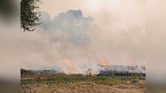 Farmers in Punjab's Ludhiana continue to burn stubble as AQI remains 'severe'; Amarinder Singh says action initiated against 2,923 farmers