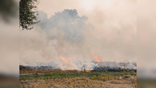 Farmers in Punjab's Ludhiana continue to burn stubble as AQI remains 'severe'; Amarinder Singh says action initiated against 2,923 farmers